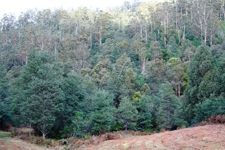 Sixth view of Homely land listing, 2 Bakers Creek Road, Lucaston TAS 7109