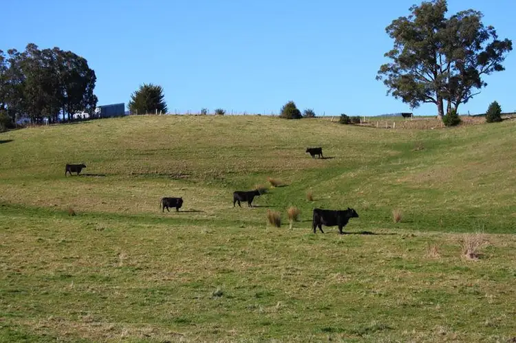 Second view of Homely land listing, Lot 1 Cross Road, Lucaston TAS 7109