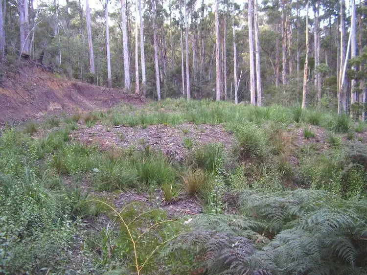 Main view of Homely land listing, 2 Hastings Esplanade, Hastings TAS 7109