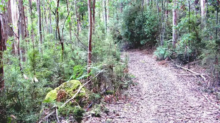 Fifth view of Homely land listing, 128 Seventh Day Road, Glen Huon TAS 7109