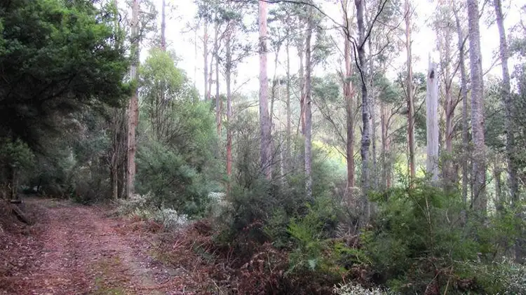 Sixth view of Homely land listing, 128 Seventh Day Road, Glen Huon TAS 7109