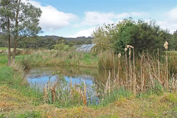 Fifth view of Homely house listing, 8250 Channel Highway, Cradoc TAS 7109