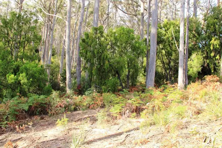 Third view of Homely land listing, 1728 Cygnet Coast Road, Cradoc TAS 7109