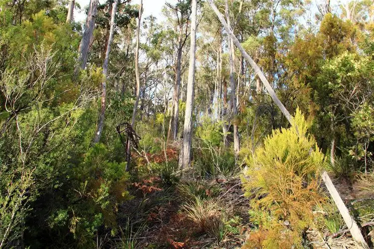 Seventh view of Homely land listing, 1728 Cygnet Coast Road, Cradoc TAS 7109