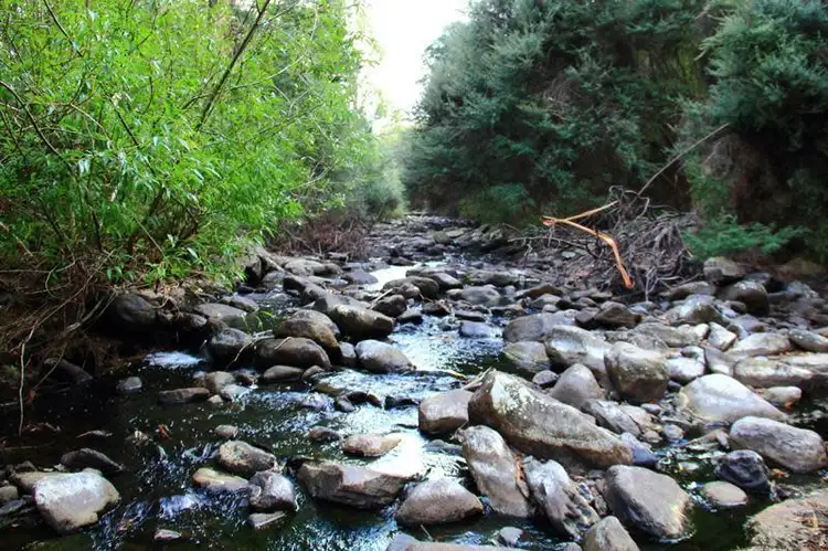 Off Sharpes Road, Crabtree TAS 7109