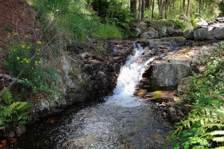 Main view of Homely land listing, lot 2 Crabtree Road, Crabtree TAS 7109