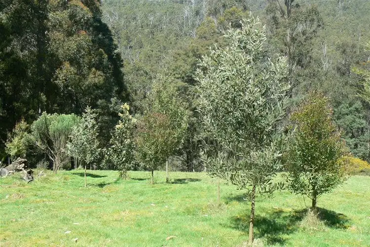 Lot 4 Snug Tiers Road, Snug TAS 7054