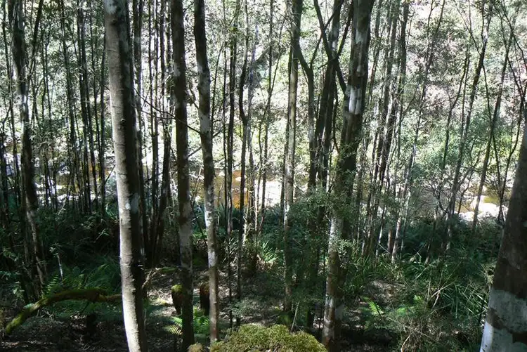 Third view of Homely land listing, Lot 4 Snug Tiers Road, Snug TAS 7054