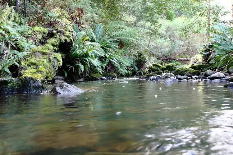 Second view of Homely house listing, 1145 Pelverata Road, Pelverata TAS 7150