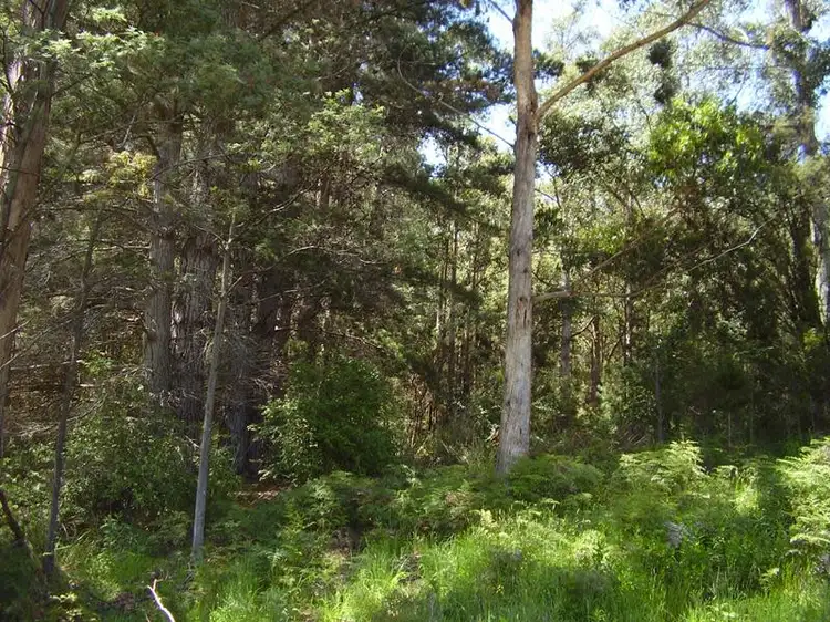 Sixth view of Homely land listing, 6795 Huon Highway, Dover TAS 7117