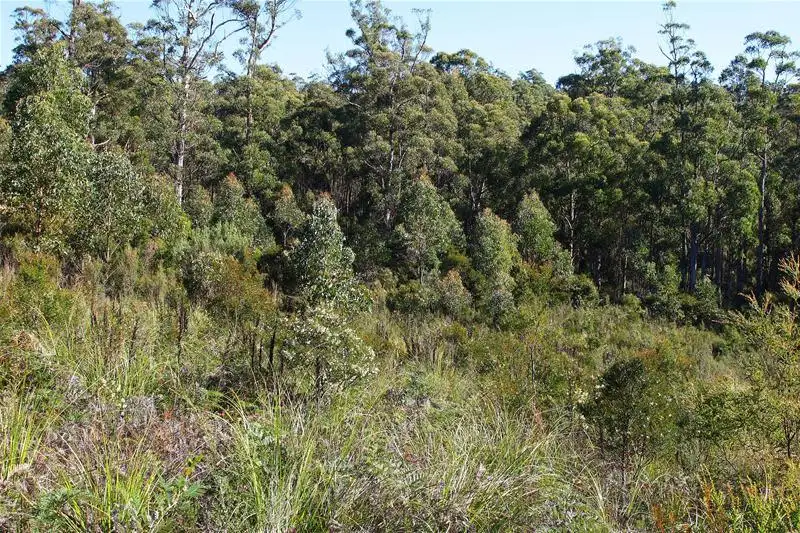 Main view of Homely land listing, LOT 7 Whitecliffes Road, Brooks Bay TAS 7116