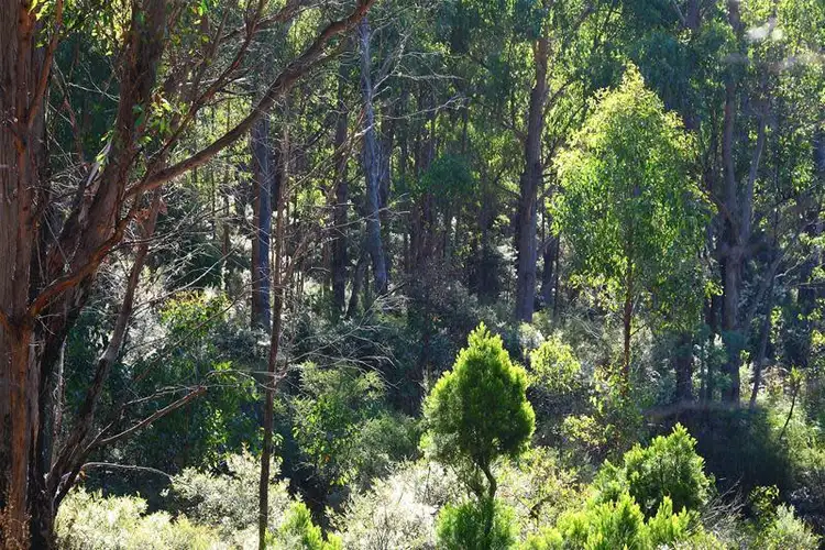 Fifth view of Homely land listing, LOT 7 Whitecliffes Road, Brooks Bay TAS 7116