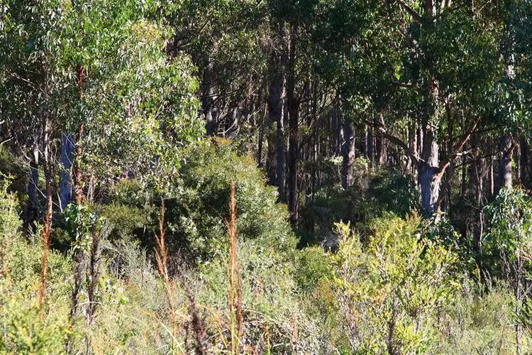Sixth view of Homely land listing, LOT 7 Whitecliffes Road, Brooks Bay TAS 7116