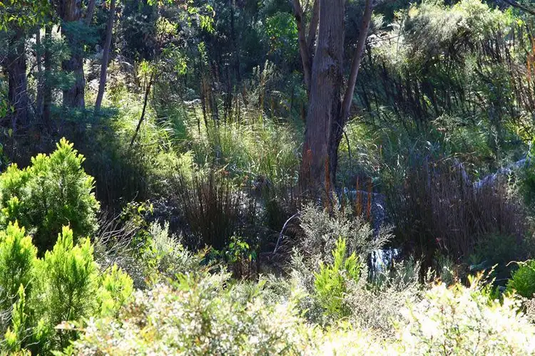 Seventh view of Homely land listing, LOT 7 Whitecliffes Road, Brooks Bay TAS 7116