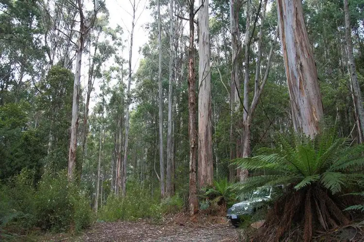 Third view of Homely land listing, Lot/1 Hills Road, Franklin TAS 7113