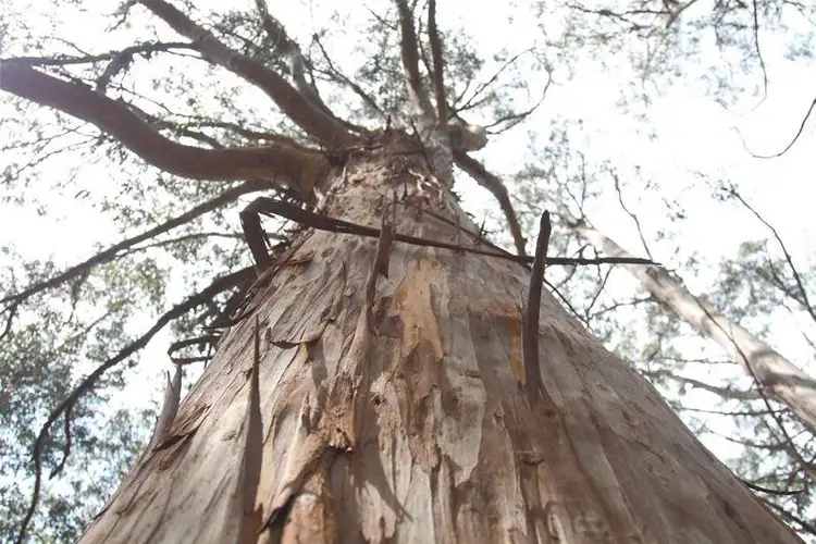 Fifth view of Homely land listing, Lot/1 Hills Road, Franklin TAS 7113