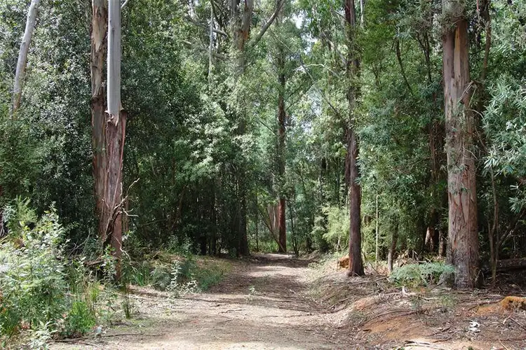 Sixth view of Homely land listing, Lot/1 Hills Road, Franklin TAS 7113