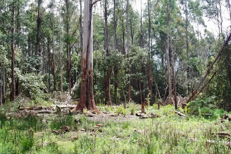 Seventh view of Homely land listing, Lot/1 Hills Road, Franklin TAS 7113