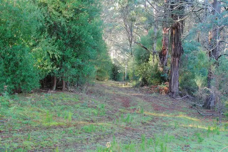 Sixth view of Homely land listing, 21 Mansfields Road, Franklin TAS 7113