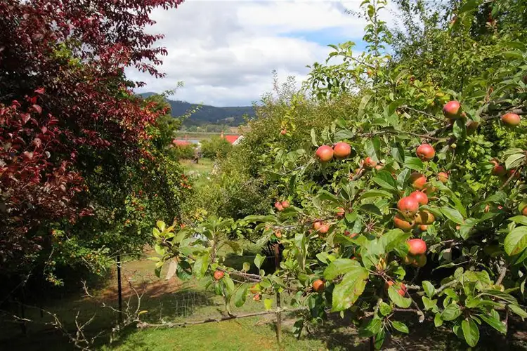 Fourth view of Homely land listing, 7a Temperance Lane, Franklin TAS 7113