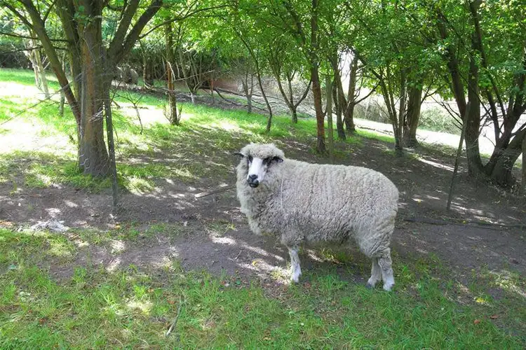 Sixth view of Homely land listing, 7a Temperance Lane, Franklin TAS 7113