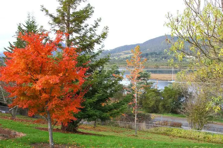 Main view of Homely land listing, 3460 (lot 4) Huon Highway, Franklin TAS 7113