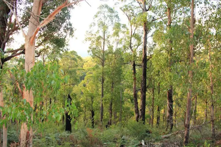 Third view of Homely land listing, 1 Brittains Road, Garden Island Creek TAS 7112