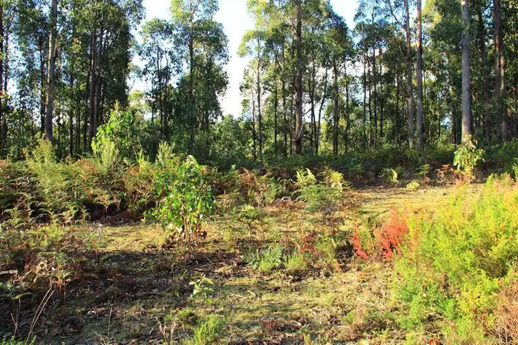 Fifth view of Homely land listing, 1 Brittains Road, Garden Island Creek TAS 7112