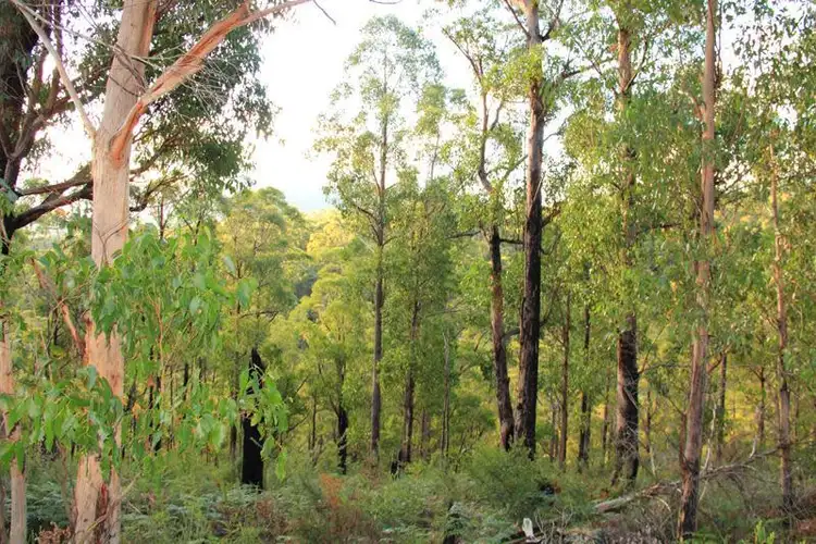 Sixth view of Homely land listing, 1 Brittains Road, Garden Island Creek TAS 7112