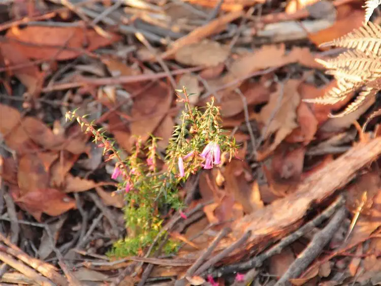 Seventh view of Homely land listing, 1 Brittains Road, Garden Island Creek TAS 7112