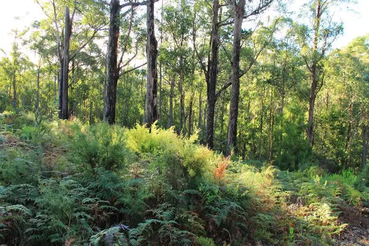 Fourth view of Homely land listing, 125 Brittains Road, Garden Island Creek TAS 7112