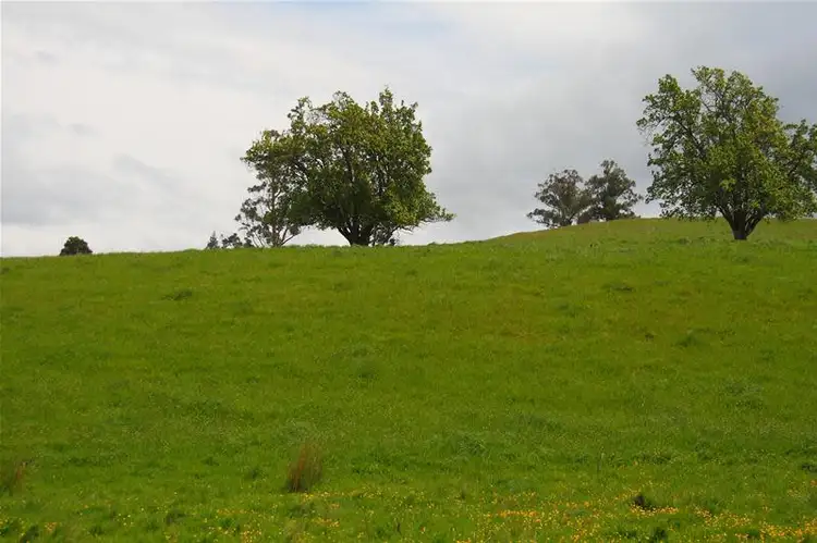 Fourth view of Homely land listing, 21 Slab Road, Cygnet TAS 7112