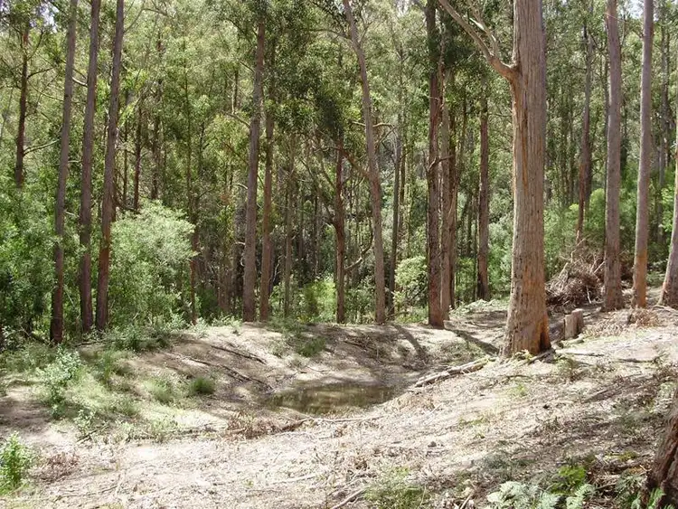 Sixth view of Homely land listing, LOT 1 Guys Road, Cygnet TAS 7112