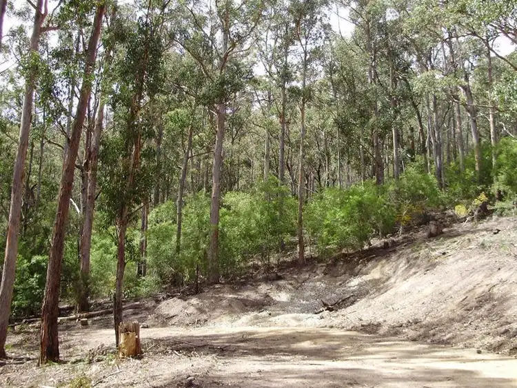 Seventh view of Homely land listing, LOT 1 Guys Road, Cygnet TAS 7112