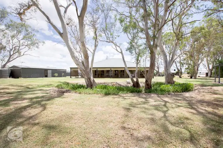 Main view of Homely house listing, 11 Federation Drive, Naracoorte SA 5271