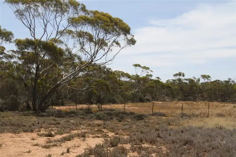 Fifth view of Homely land listing, Blk 518B Ponde Street, Red Cliffs VIC 3496