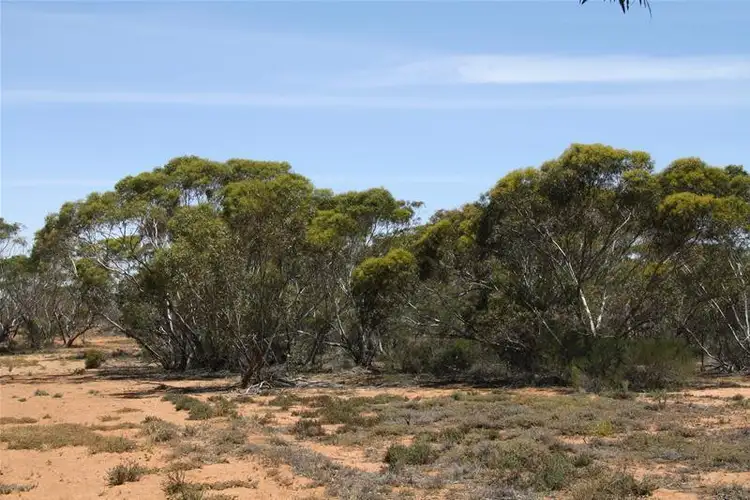 Sixth view of Homely land listing, Blk 518B Ponde Street, Red Cliffs VIC 3496