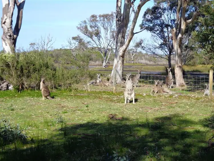 Third view of Homely land listing, 24 Davies Street, Loch Sport VIC 3851