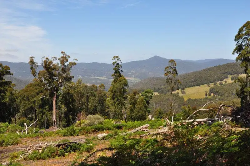 Main view of Homely land listing, Lot 1 Bygraves Road, Crabtree TAS 7109