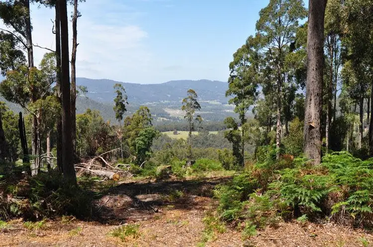 Third view of Homely land listing, Lot 1 Bygraves Road, Crabtree TAS 7109