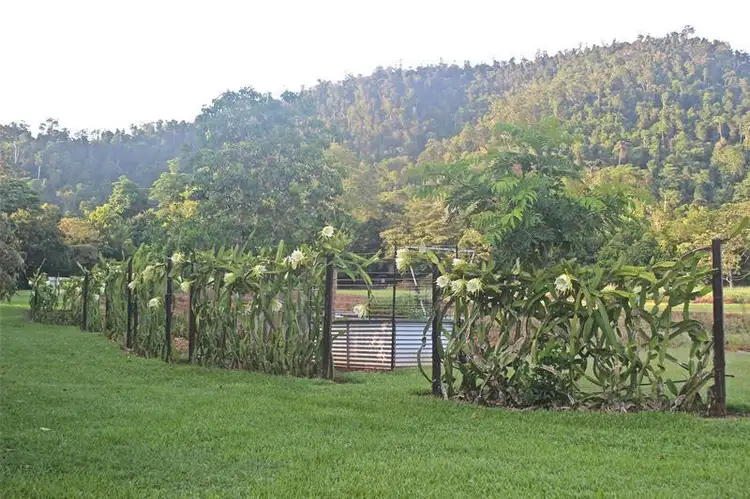 Second view of Homely house listing, Lot 92 Friday Pocket Road, Friday Pocket QLD 4855
