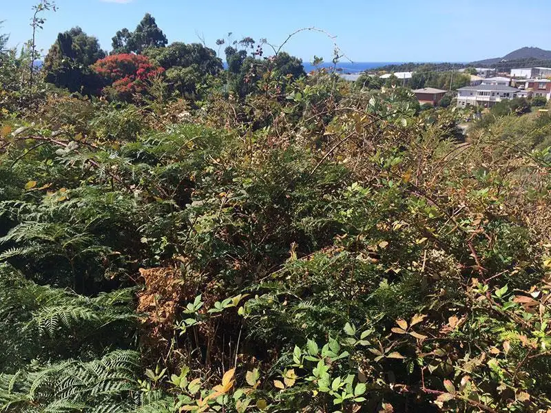 Main view of Homely land listing, 7 McGrath Street, Upper Burnie TAS 7320