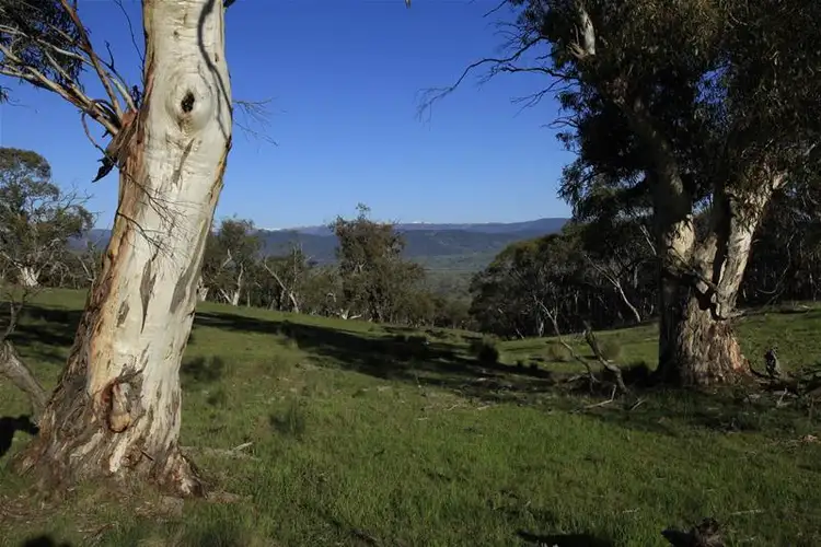 Fourth view of Homely rural property listing, Lot 2 Old Settlers Road, Jindabyne NSW 2627