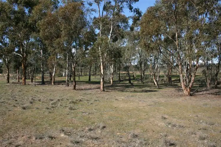 Sixth view of Homely rural property listing, 8 Section 2 Hudswell Road, Landsborough VIC 3384