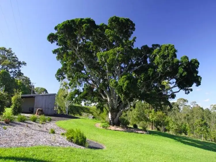Third view of Homely house listing, 246 Duncan Road, Numulgi NSW 2480
