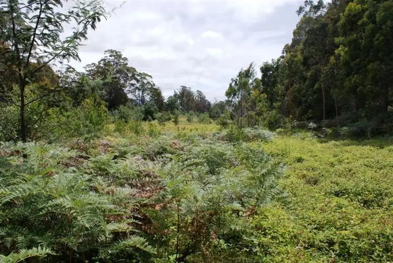 Main view of Homely land listing, 20 Bonney Street, Elizabeth Town TAS 7304