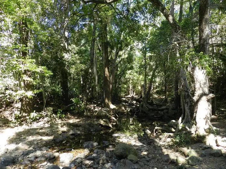 Fifth view of Homely land listing, LOT 5/Lot 5 Koumala-Bolingbroke Road, Koumala QLD 4738