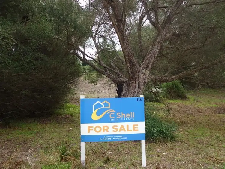 12 Elizabeth Court, Loch Sport VIC 3851