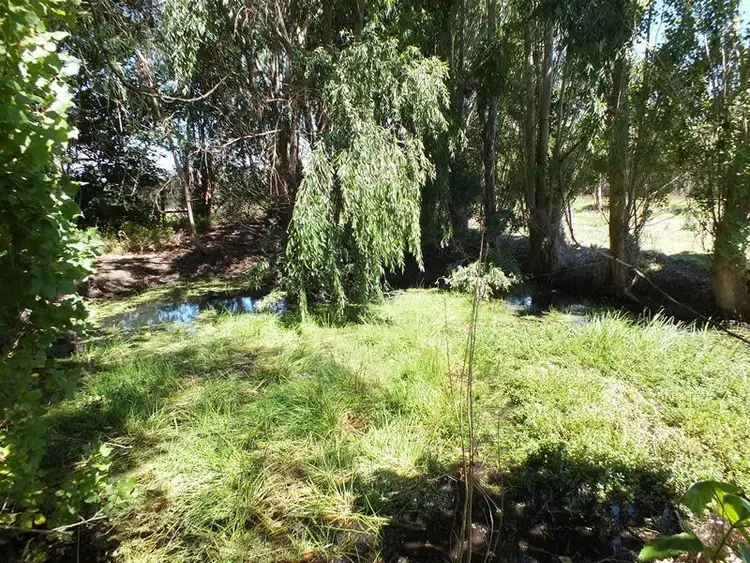 Seventh view of Homely rural property listing, 61 Bindaree Road, Cuthbert WA 6330