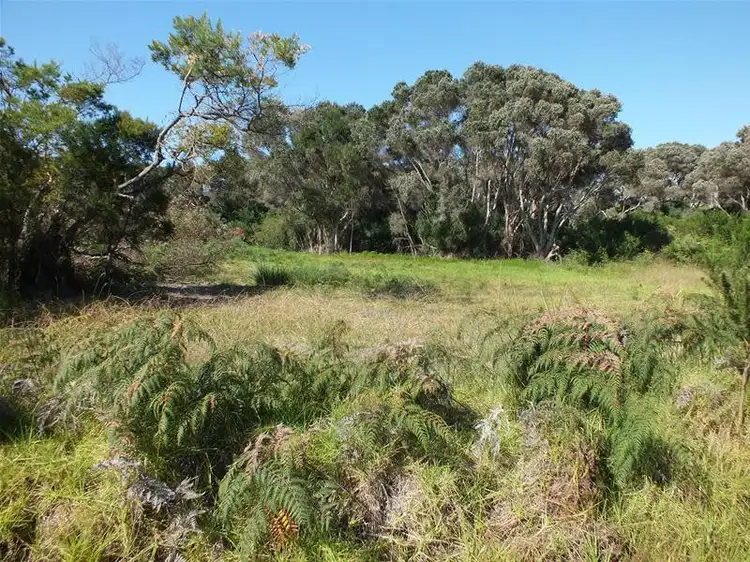 32 Drew Street, Seppings WA 6330